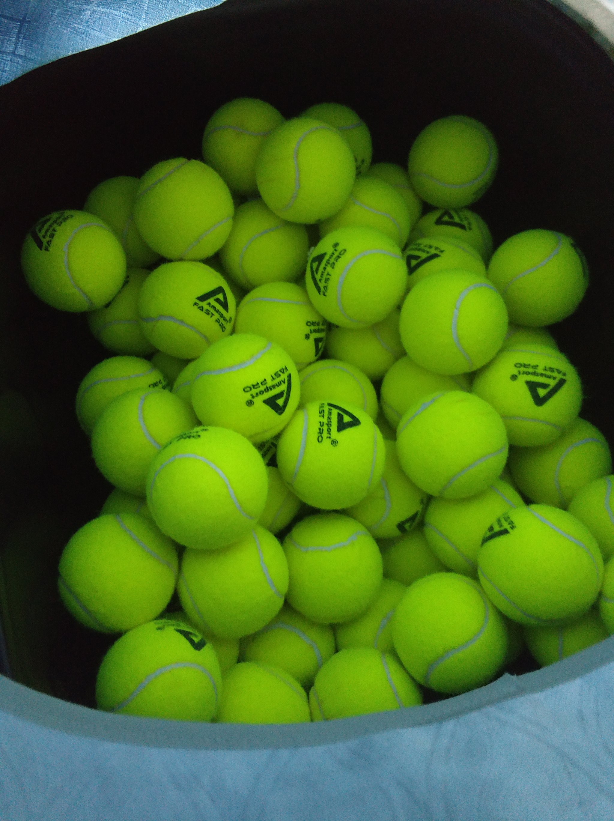 组织者需要 组织者需要