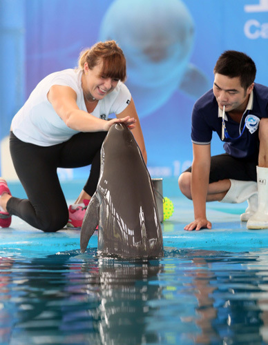 崭露头角 崭露头角